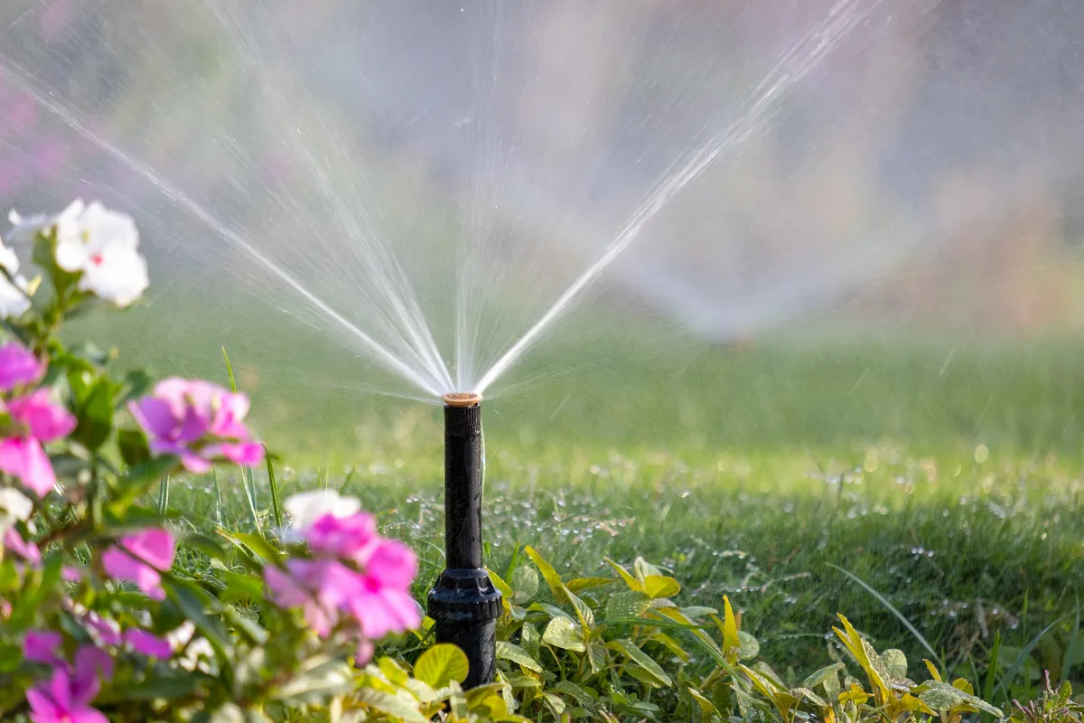 A sprinkler head watering flowers and a green lawn